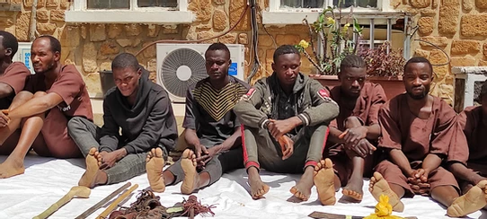 Plateau 23 suspected kidnappers & criminals arrested by OPSH (5)